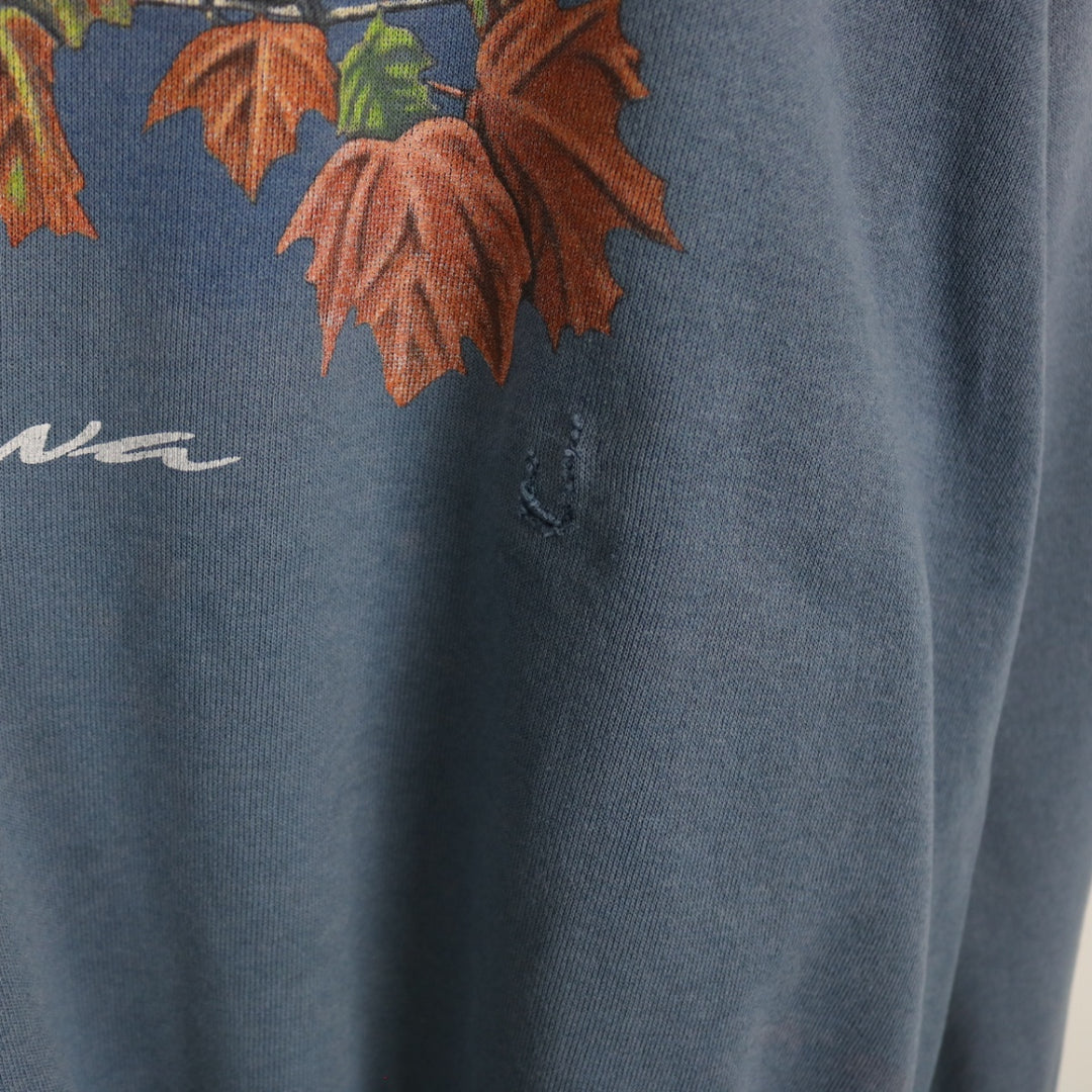 Vintage 90's Iowa Blue Jay Nature Crewneck - L-NEWLIFE Clothing